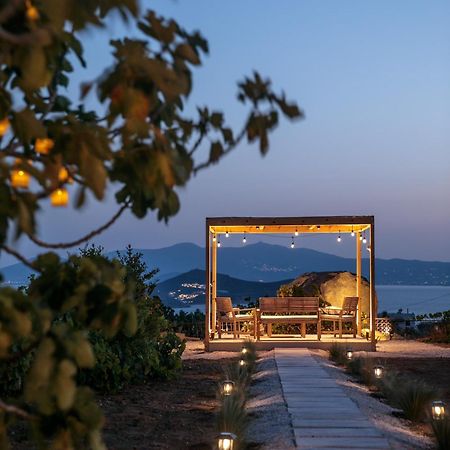 Jannas Apartments Naxos Αγγίδια Εξωτερικό φωτογραφία